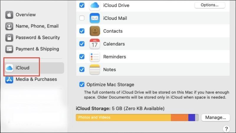 Chọn v&agrave;o mục iCloud