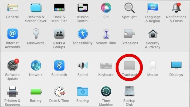 Nhấn chọn Trackpad