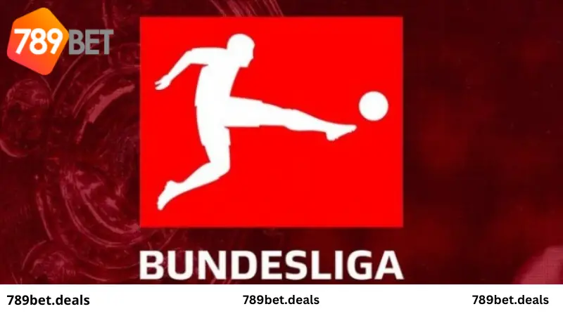 Đánh giá bảng xếp hạng Bundesliga 2023 – 2024 cùng nhà cái 789 Bet