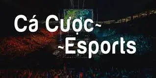 Cách cá cược Esport tại Nhà cái Hello88