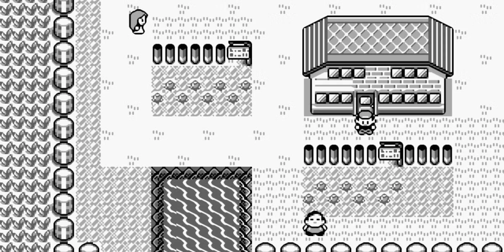 Khung cảnh thị trấn quen thuộc tại vùng Kanto trong Pokémon Red Blue