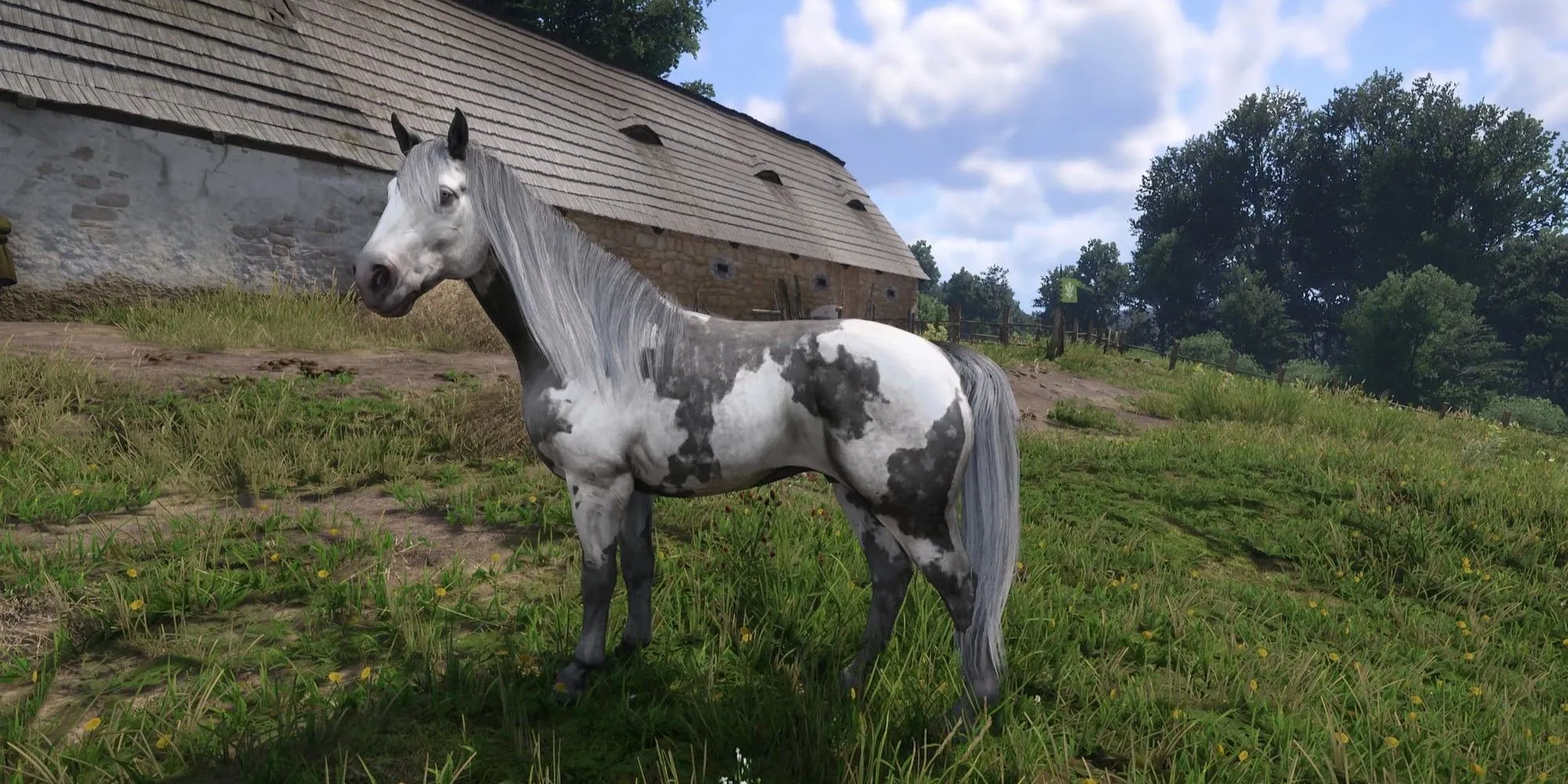 Một con ngựa độc đáo trong Kingdom Come Deliverance 2 được thêm vào bởi mod Unique Horses