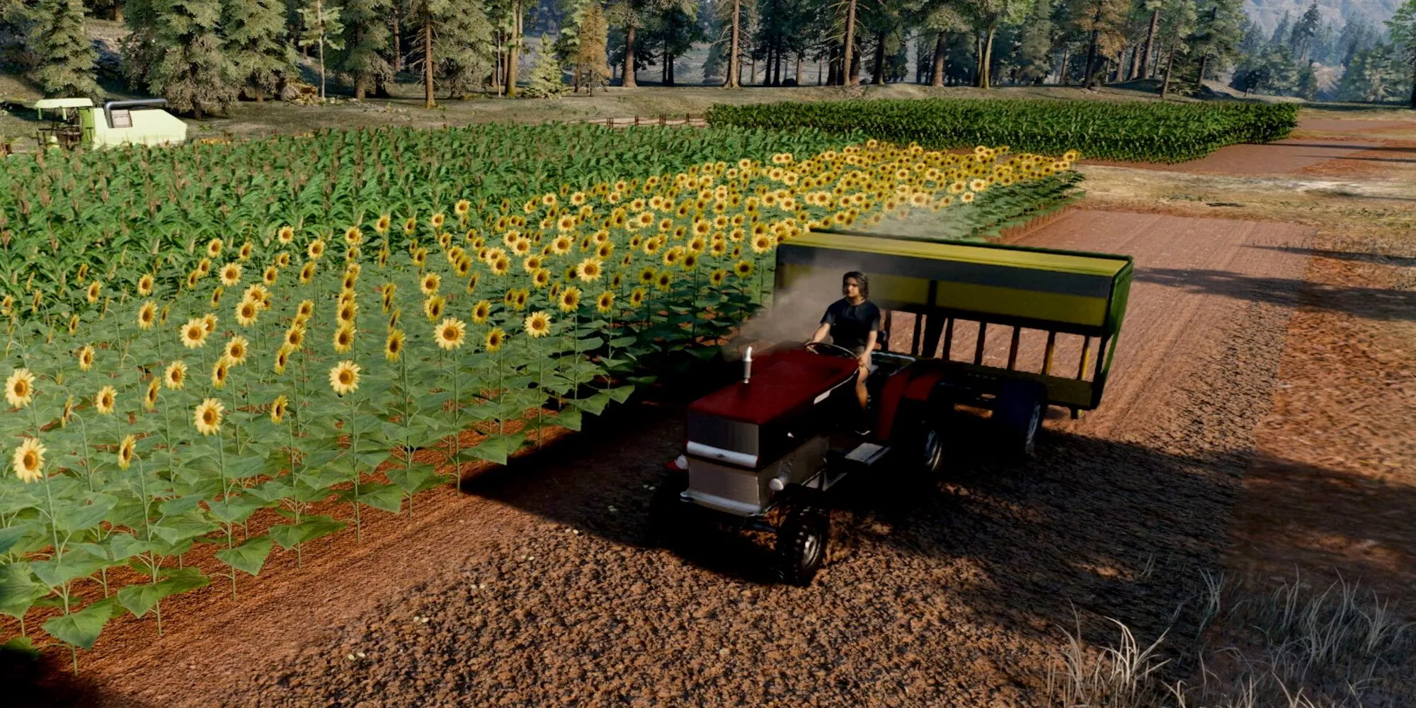 Người chơi lái máy kéo thu hoạch ngô trong Ranch Simulator