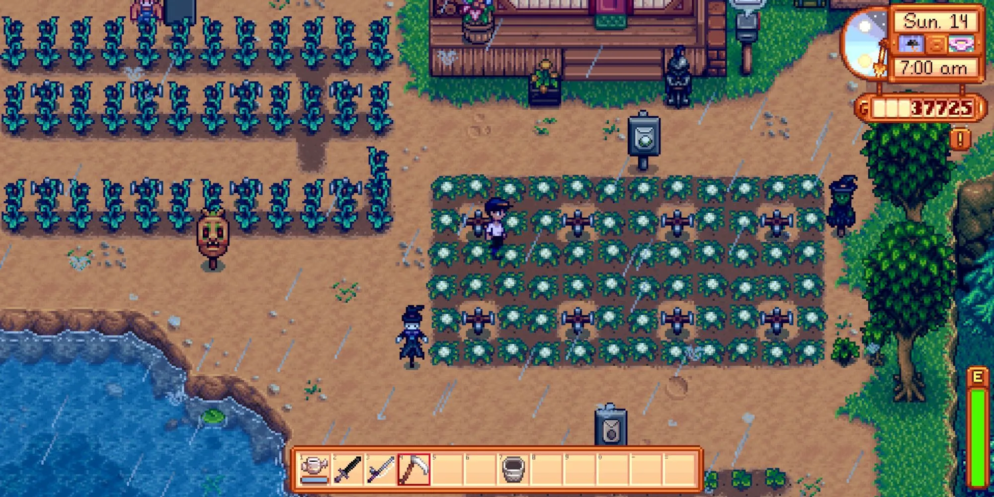 Người chơi Stardew Valley đang làm nông giữa trời mưa