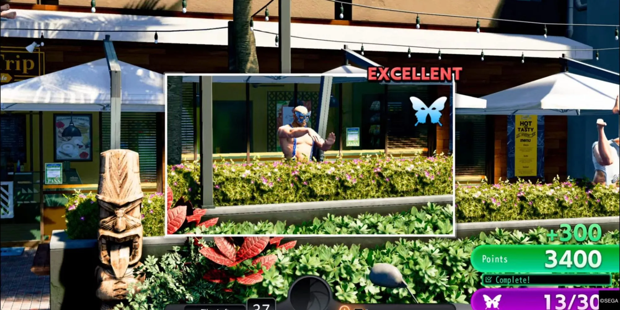 Người chơi zoom cận cảnh để chụp ảnh một Papillon Boy đang tạo dáng độc đáo trong Sicko Snap, nhằm đạt điểm cao.
