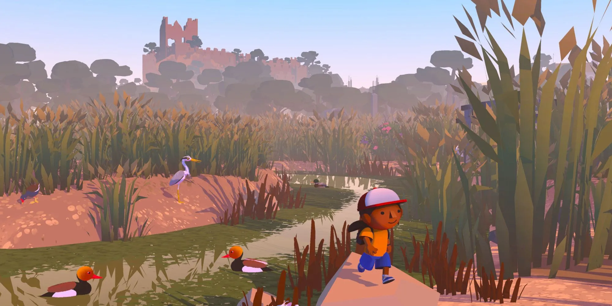Nhân vật Alba khám phá một đầm lầy với những chú vịt trong game Alba A Wildlife Adventure