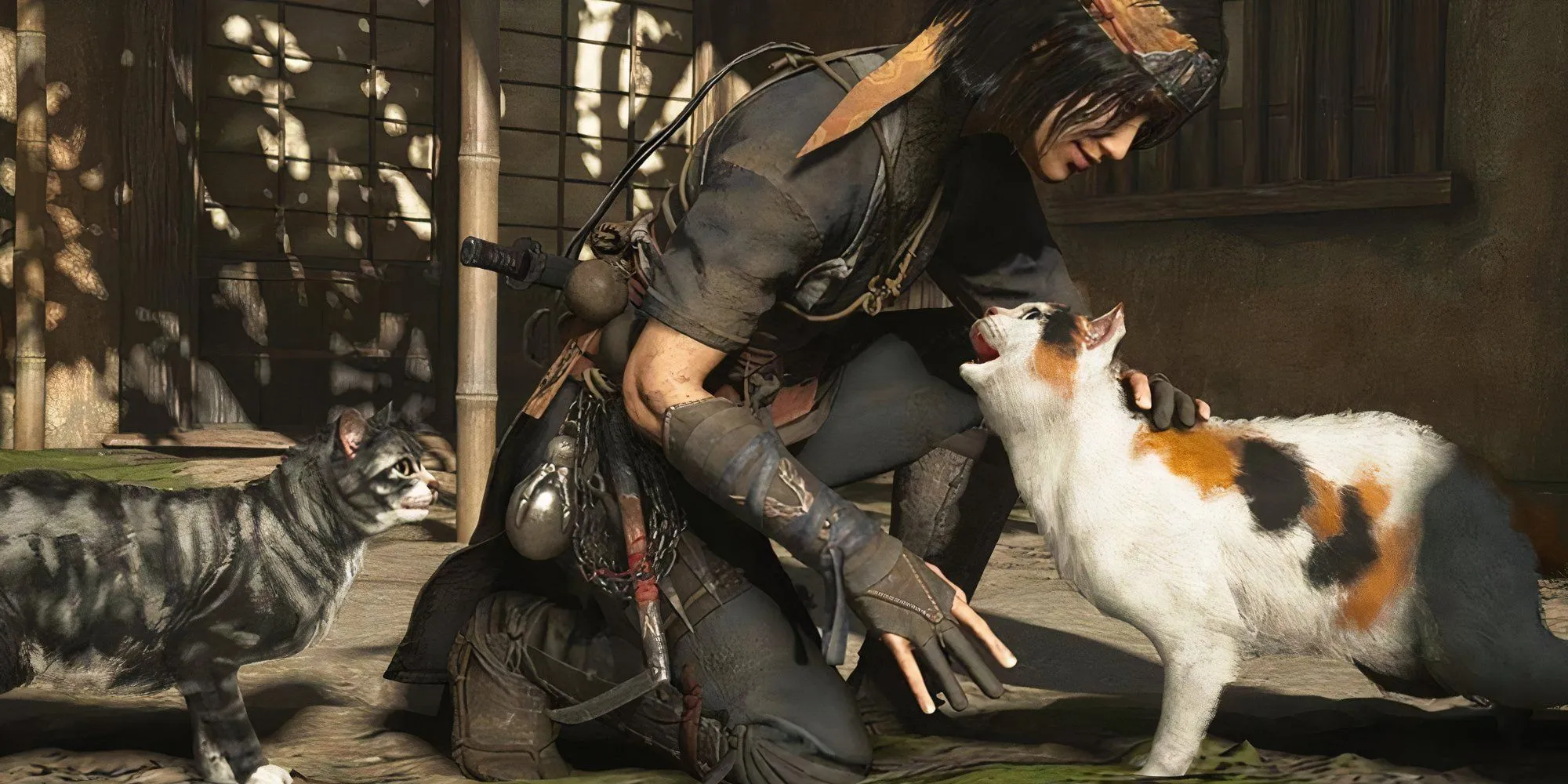 Nhân vật Naoe trong Assassin's Creed Shadows đang tương tác với một chú mèo trong game