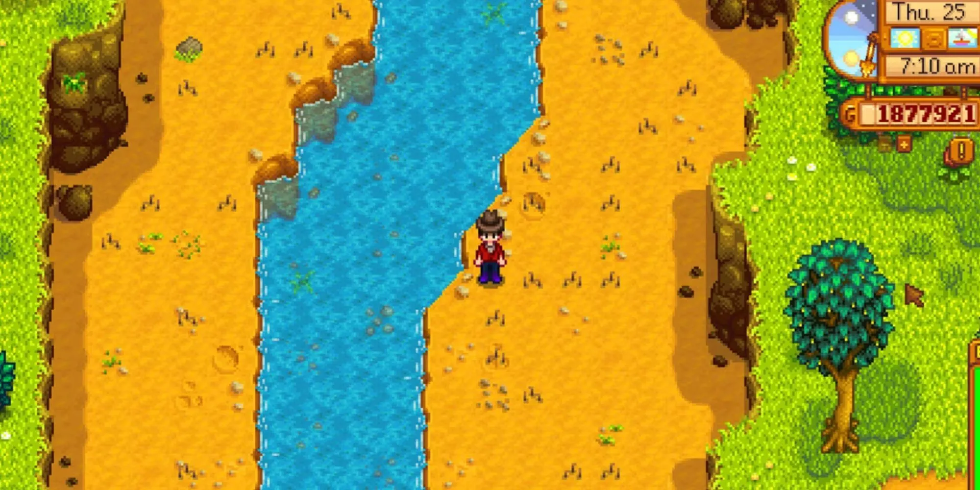 Nhiều điểm Khảo cổ trong Stardew Valley
