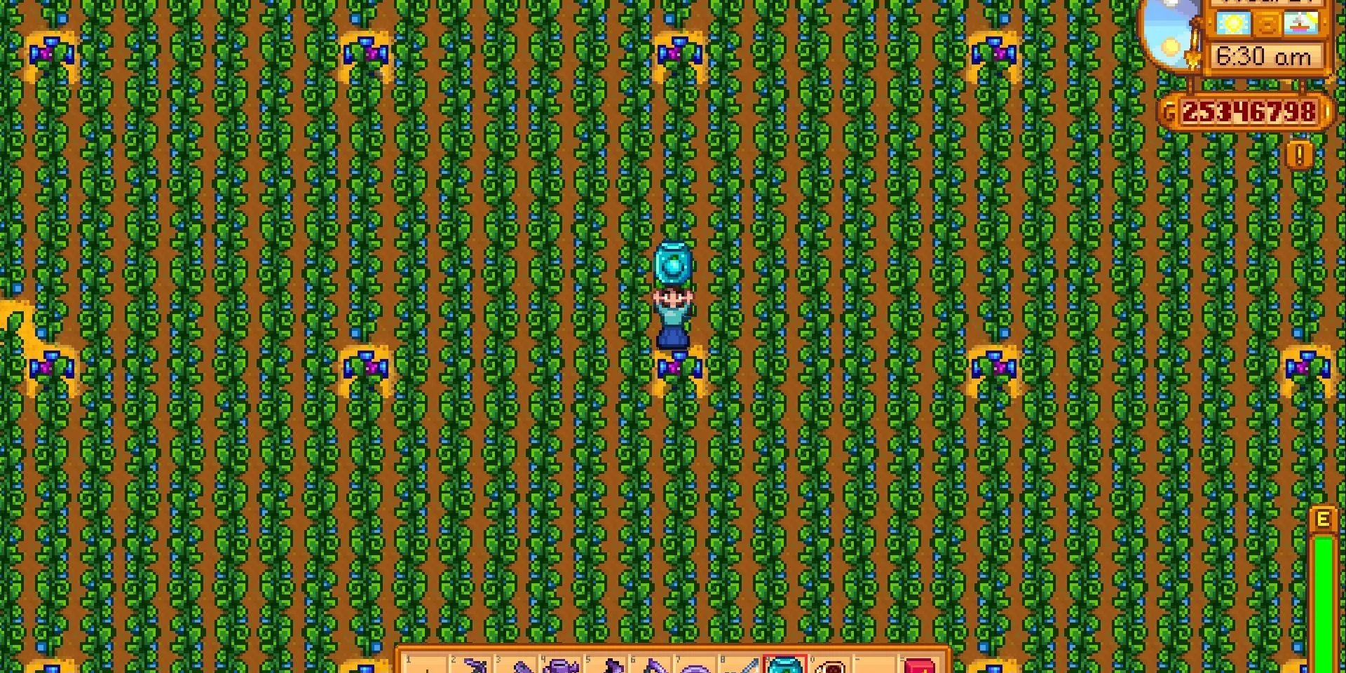 Nông trại Stardew Valley trồng toàn Ancient Fruit