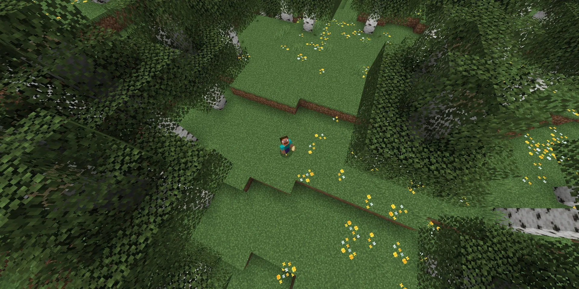Steve trong rừng Bạch Dương (Birch Forest) trong Minecraft, liên quan đến concept rừng Bạch Dương đẹp hơn đã bị bỏ quên