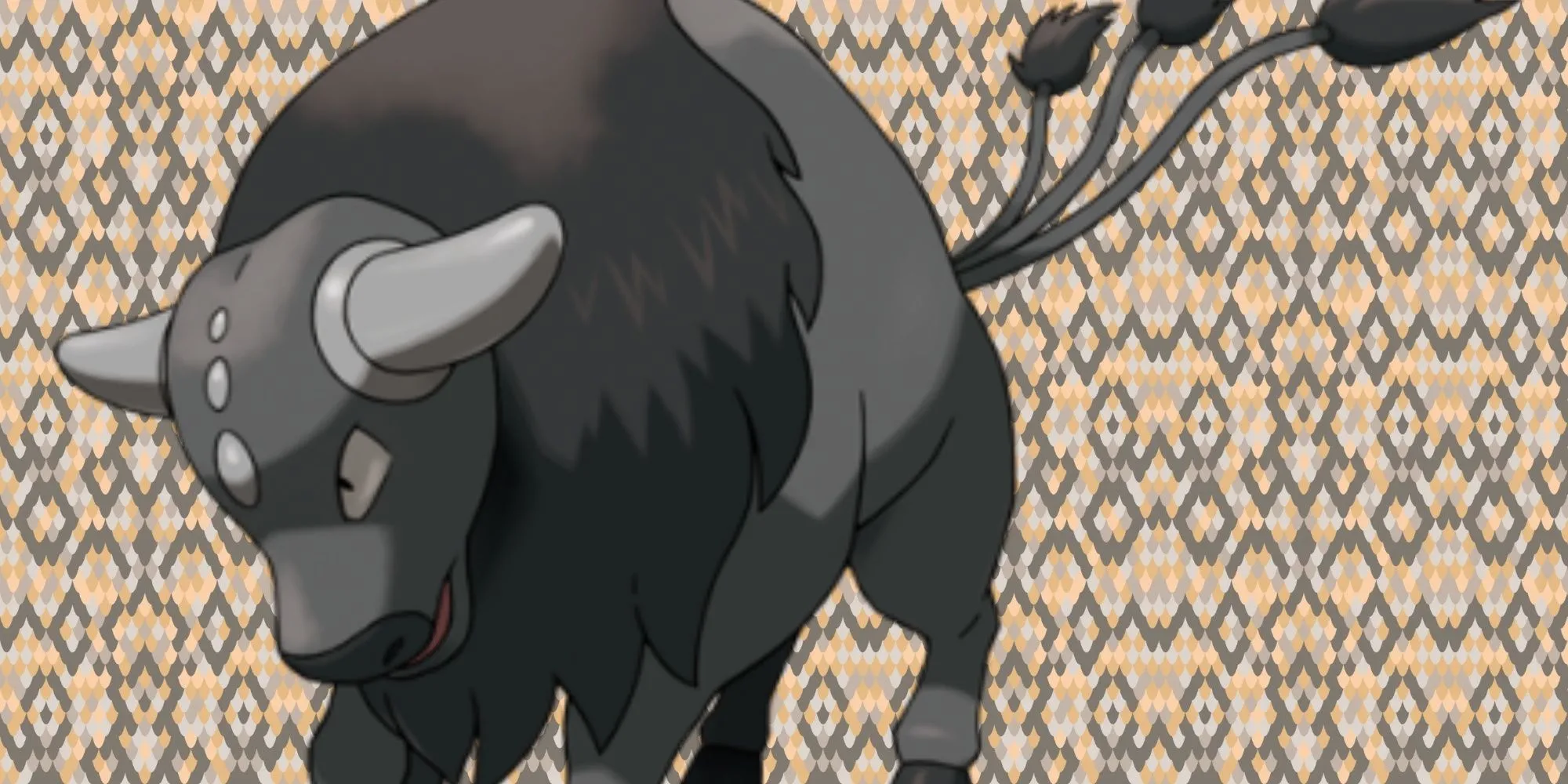 Tauros Paldea hệ Giác Đấu (Combat Breed) màu đen mạnh mẽ
