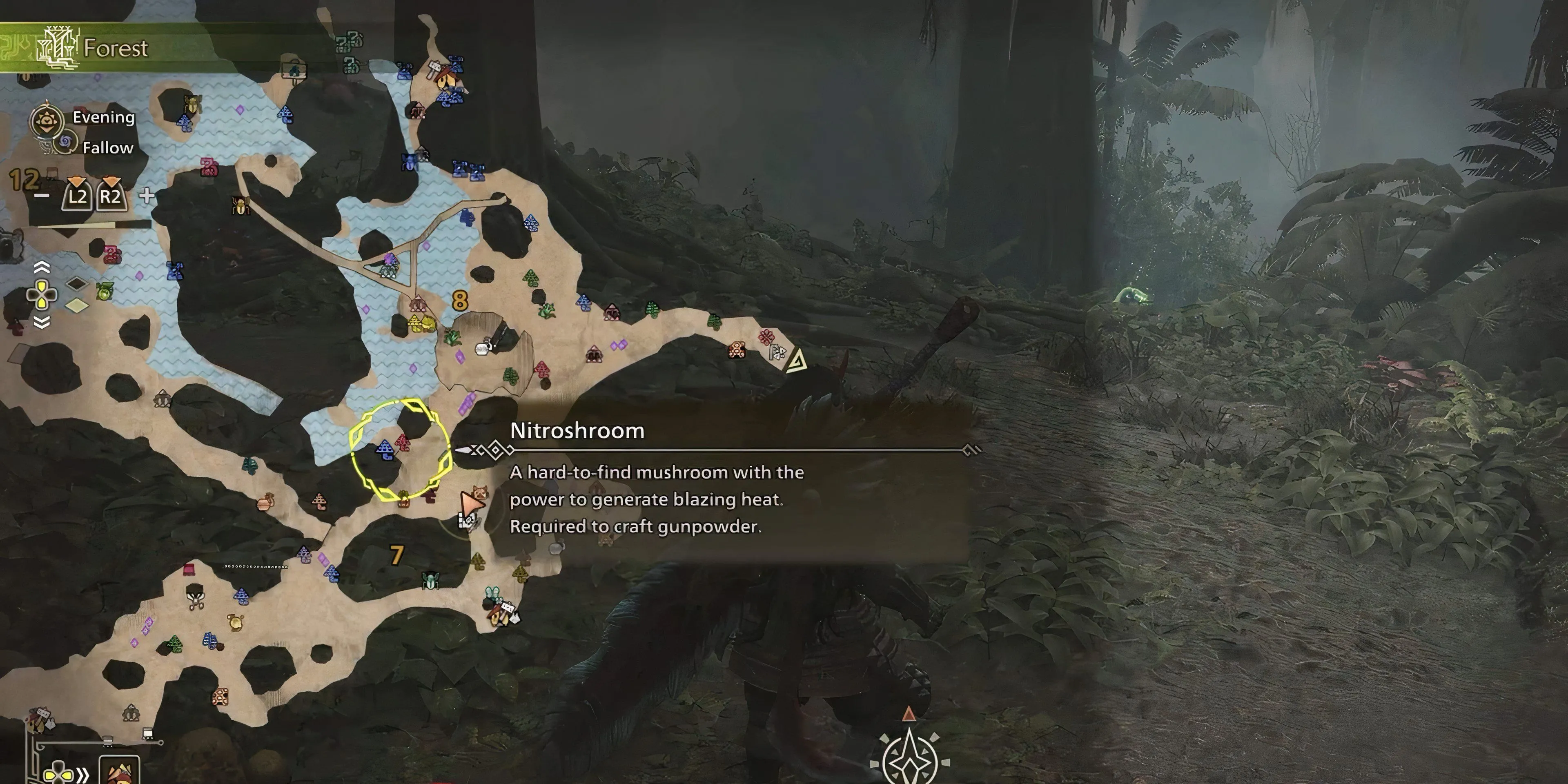 Vị trí tìm thấy Nitroshroom, nguyên liệu chế tạo quan trọng trong Monster Hunter Wilds tại Scarlet Forest