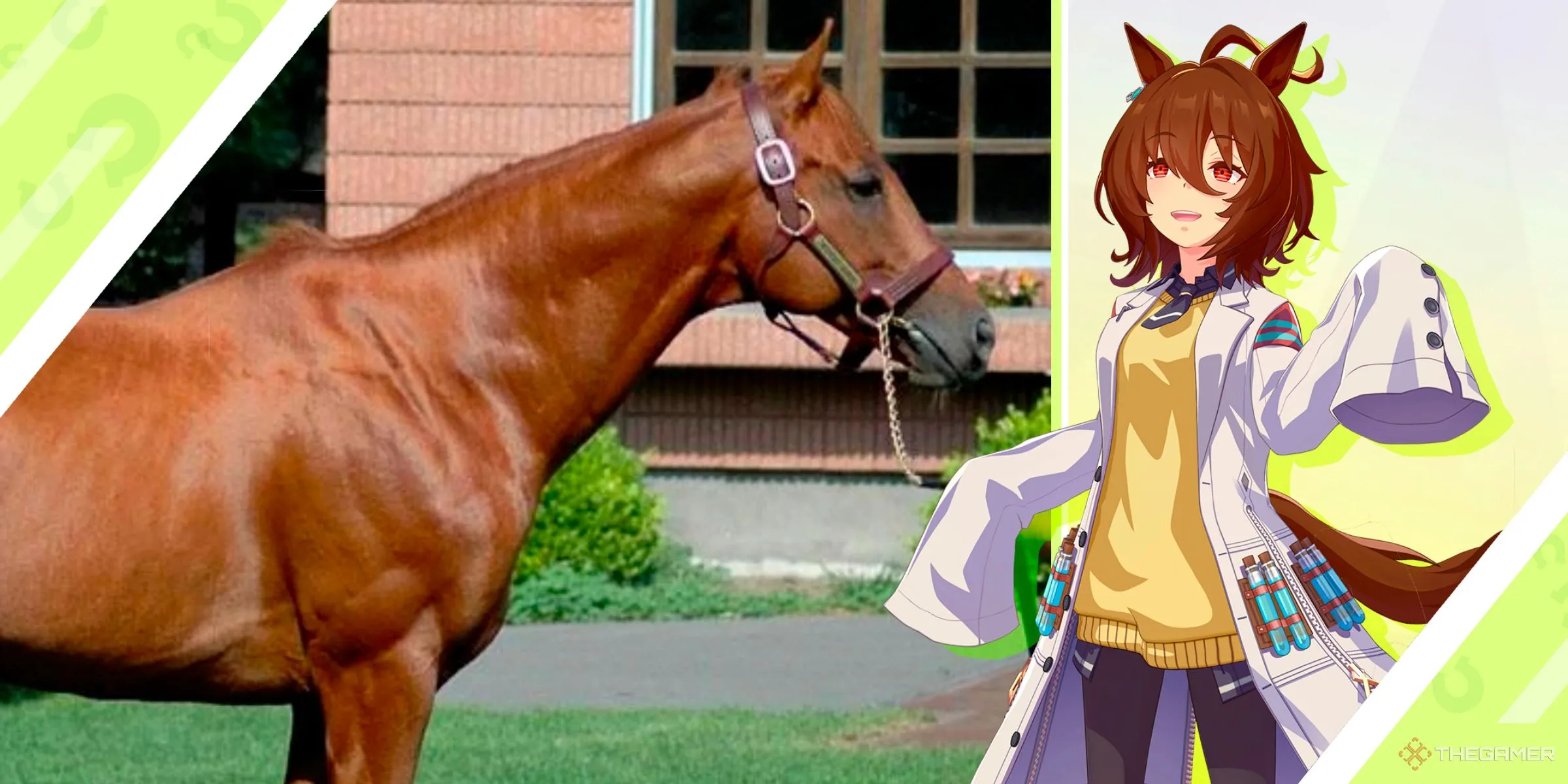 Agnes Tachyon ngoài đời thực và nhân vật Umamusume Agnes Tachyon trong game Umamusume Pretty Derby.