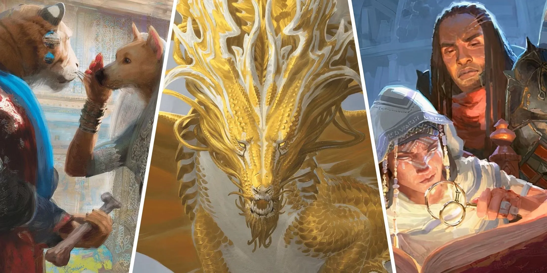 Sinh vật kỳ ảo, rồng vàng và học giả trong thế giới Dungeons & Dragons (D&D) rộng lớn