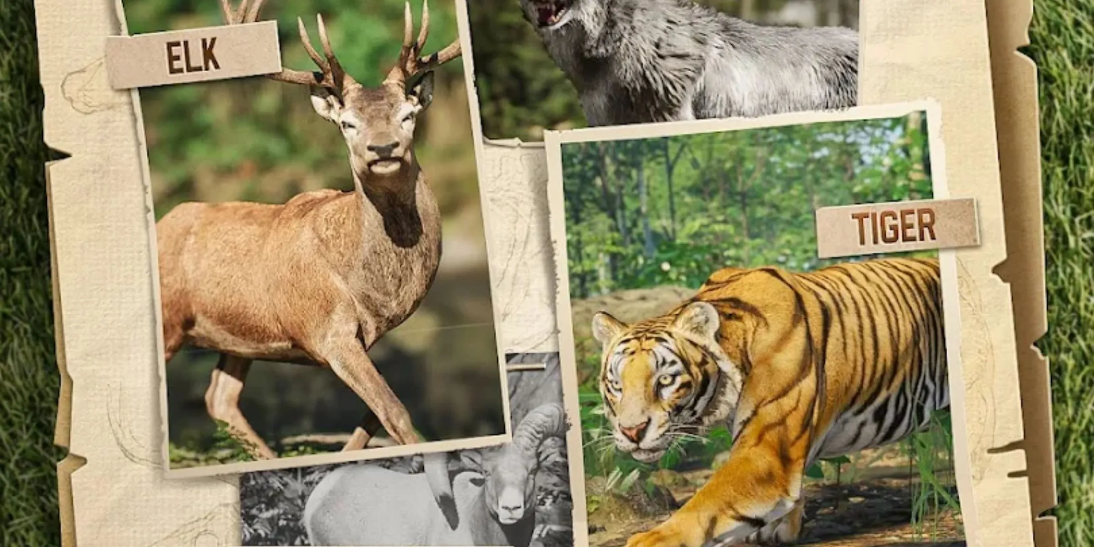 Hunting Sniper: hươu và hổ trên bản đồ săn, gợi ý về các phần thưởng nhận được từ chest